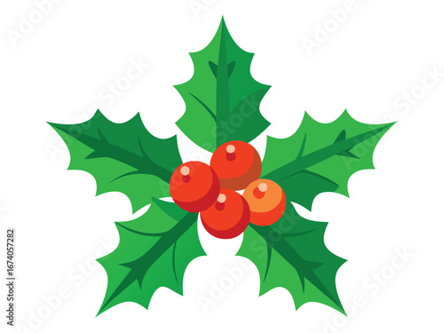 Holly Berry Illustration for Christmas and Winter Holiday Season Decoration