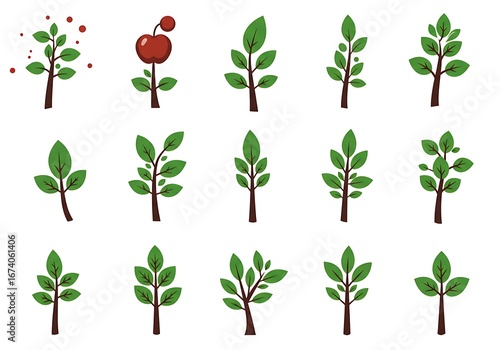 Growing Green: A Sprout's Journey