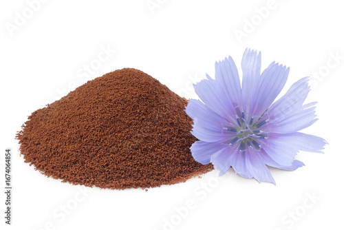 Chicory powder and flower isolated on white background. Cichorium intybus.