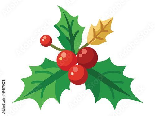 Christmas Holly Berries and Leaves Illustration