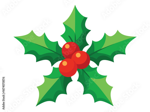 Christmas Holly Berries and Leaves Illustration