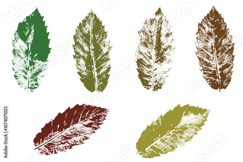Leaf imprints set, grunge style, botanical vector, isolated natural leaves for decoration and design