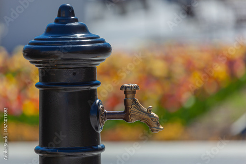 Fototapeta Naklejka Na Ścianę i Meble -  Muszyński rynek w piękny, wiosenny dzień.