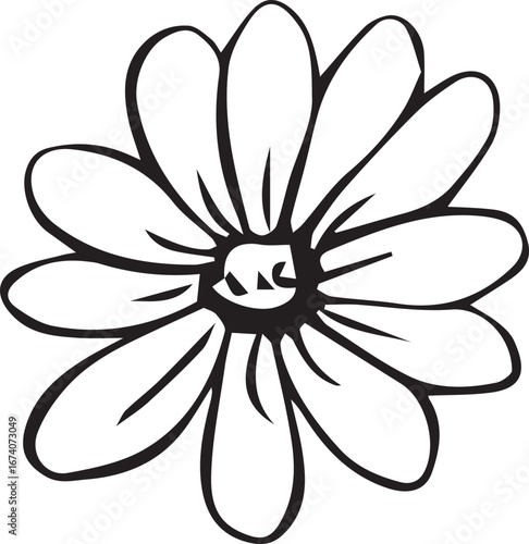 Daisy On White With Clipping Path