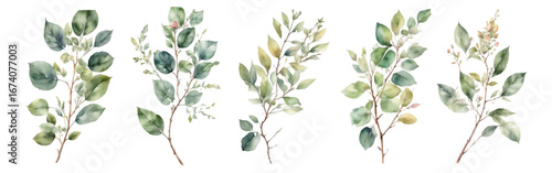 Watercolor greenery clipart set with hand-painted leaves, branches, twigs, and botanical foliage illustrations on transparent background, elegant floral watercolor PNG collection.