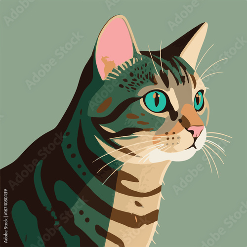 vector illustration of a cat