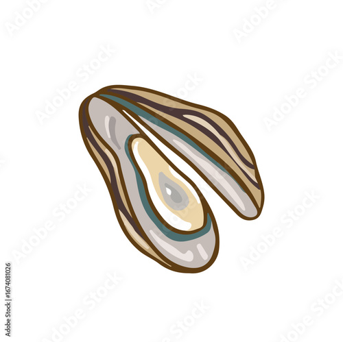 mussels, oysters seafood color cartoon