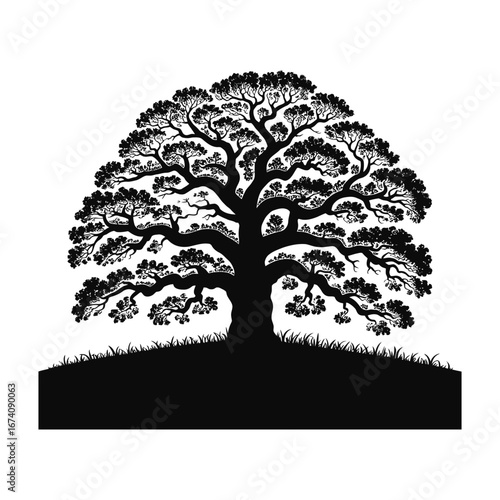 Detailed Silhouette Illustration of a Large Tree with Dense Branches and Foliage in Black