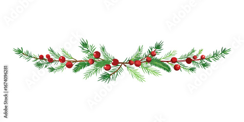 Curved pine garland with red berries on white background
