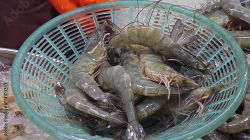 fresh shrimp on market