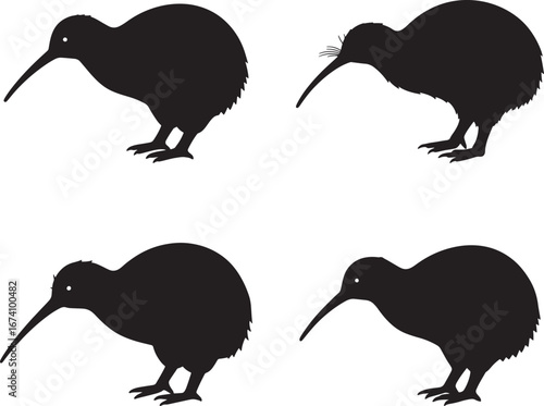Four black kiwi bird silhouettes isolated on a clean white background isolated on white background