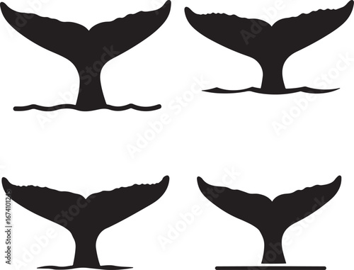 Four distinct whale tail silhouettes emerging from water isolated on white background