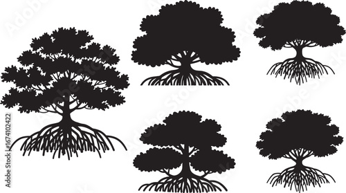 Collection of five distinct mangrove tree silhouettes isolated on white background