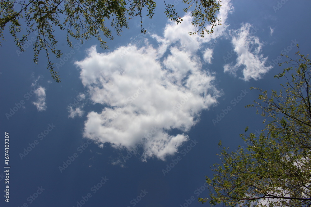 Obraz premium 올려봐야 보이는 것들