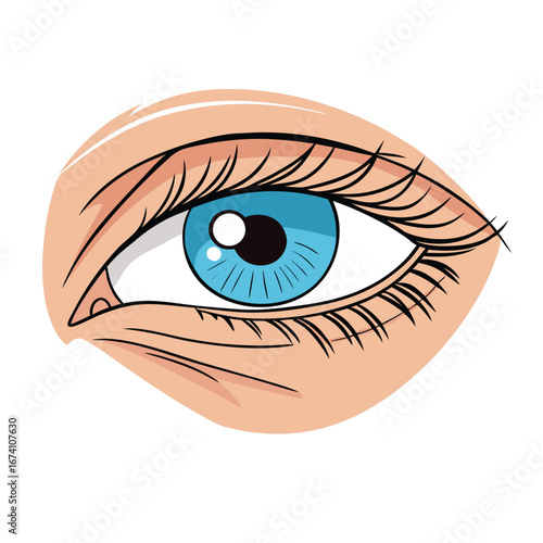 Blue eye with detailed eyelashes and skin iris pupil