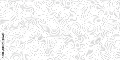 Background of the grey white topographic map. Topographic lines, contour background. topo map texture. Dense lines, Background of the topographic map. Topographic lines texture.