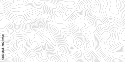 Background of the grey white topographic map. Topographic lines, contour background. topo map texture. Dense lines, Background of the topographic map. Topographic lines texture.