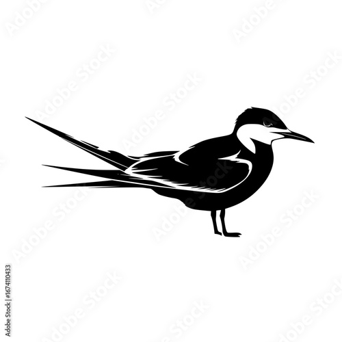 Elegant black skimmer bird illustration with sharp lines perfect for logo or print design needs now