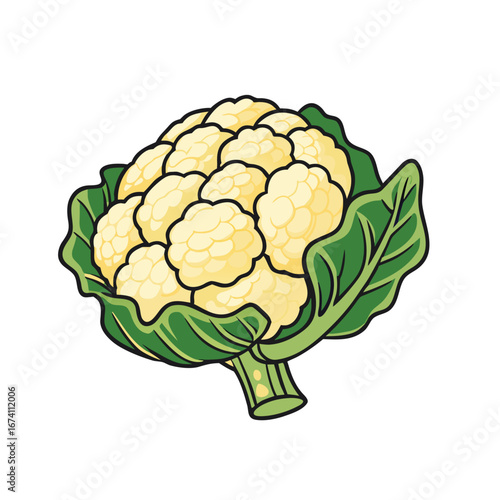 Creamy white cauliflower with green leaves vegetable food