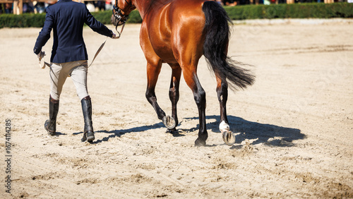 Fotografía Horse handler leading brown horse across sandy arena during equestrian exhibitio