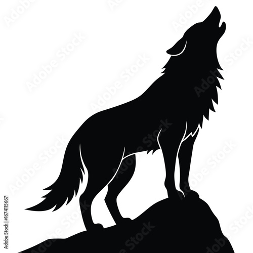 Black silhouette of a wolf howling on a rock white 3
