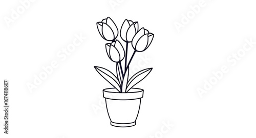 floral vase illustration, tulips pencil drawing, tulip flower line art, tulip vase outline, blooming tulips drawing, tulip vase doodle, tulip hand sketch, spring flowers in vase, tulip floral arrangem