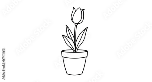 hand drawn tulips, tulip bouquet sketch, vase with tulips, floral vase illustration, tulips pencil drawing, tulip flower line art, tulip vase outline, blooming tulips drawing, tulip vase doodle, tulip