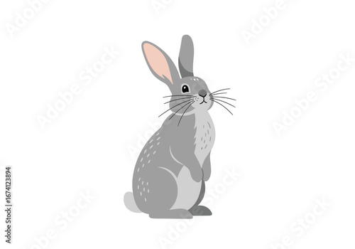 Adorable grey rabbit standing upright with long ears and whiskers on a white background
