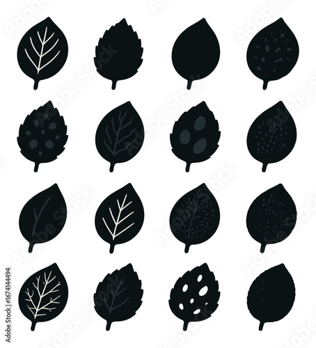 Silhouette leaf icon set featuring oak, maple, palm, birch, elm, and ash symbols