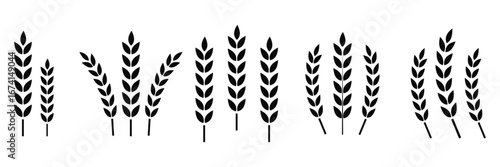Wheat Ears Icon Set – Grain, Agriculture and Farm Symbol Vector Collection