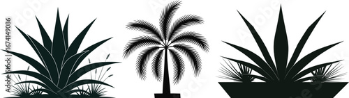 Silhouette Collection of Tropical Plants and Palm Tree agave