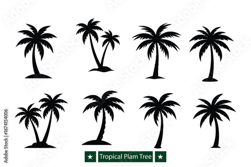 Set of Tropical palm tree  silhouette vector , Tropical palm tree silhouette vector  bundle 