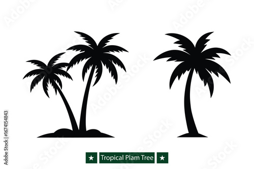 Set of Tropical palm tree  silhouette vector , Tropical palm tree silhouette vector  bundle 