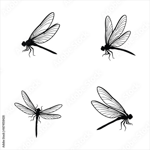 Elegant dragonfly silhouettes isolated on white background, capturing the delicate beauty and intricate wing patterns of these fascinating insects in flight