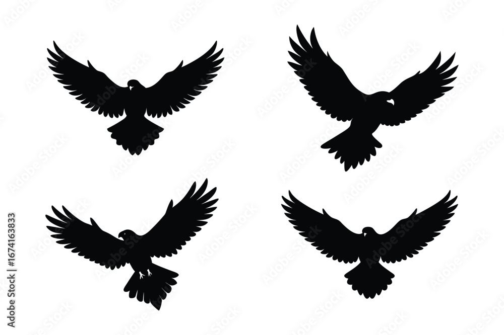Obraz premium Set of black eagle silhouette vector 