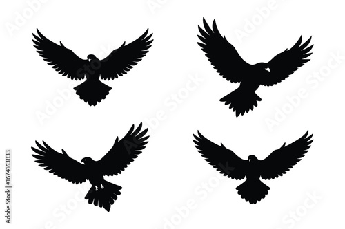 Set of  black eagle silhouette vector 
