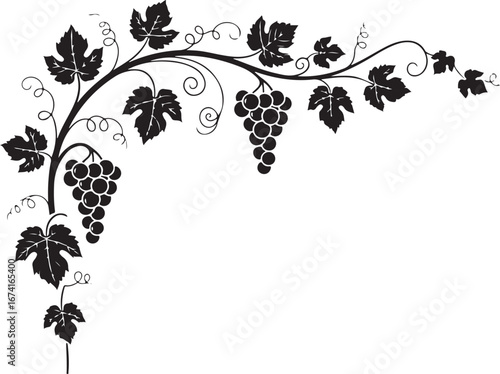 Black Silhouette Grapevine Border with Grapes and Leaves vector illustration