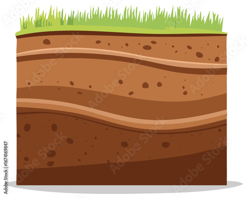Soil layers cross section illustration showing earth profile with green grass on top