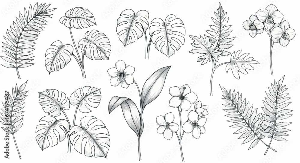 Fototapeta premium Elegant line art tropical foliage set suitable for botanical backgrounds, eco illustration, wallpaper patterns, and vintage sketches