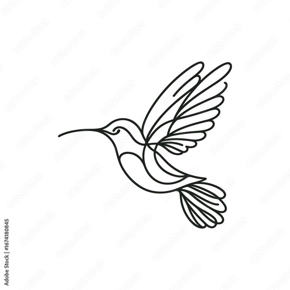 Obraz premium Elegant line drawing of a hummingbird in flight, showcasing its wings and beak against a minimalist background
