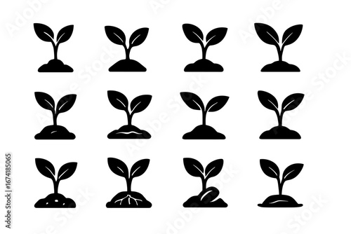 Twelve black silhouette seedlings in rows on white background
