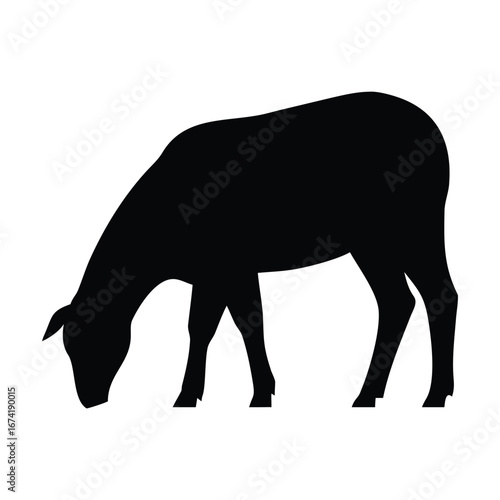 Black silhouette of a sheep grazing on a white background