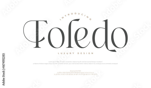 Toledo Elegant wedding logo alphabet letters font. Minimal modern urban fonts for logo, brand etc. Typography typeface uppercase lowercase and number. vector illustration