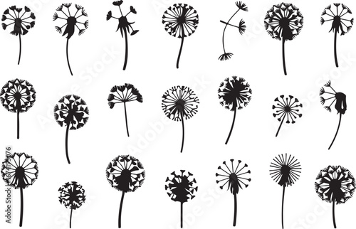 Dandelion Silhouettes: A Collection of 20 Unique Black and White Puffball Designs

