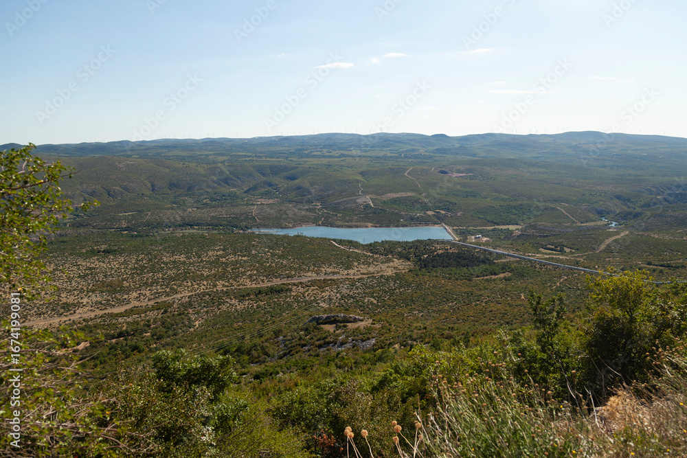 Naklejka premium Scenic Lake View from Lush Hillside