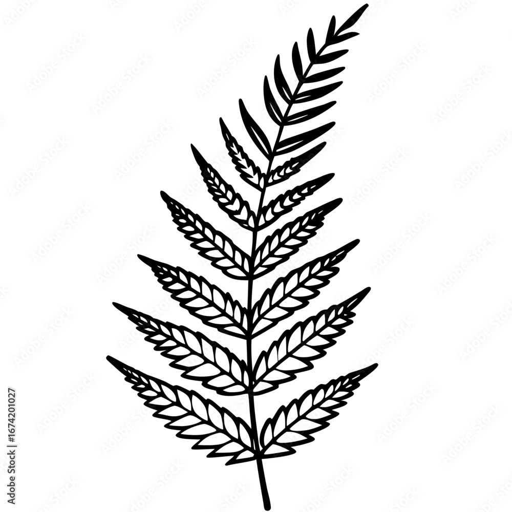Naklejka premium Minimal Fern Line Art Illustration