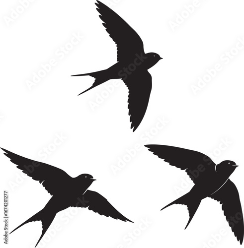 Three swallows in flight silhouette