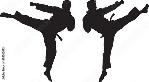 Two martial artists performing high kicks silhouette