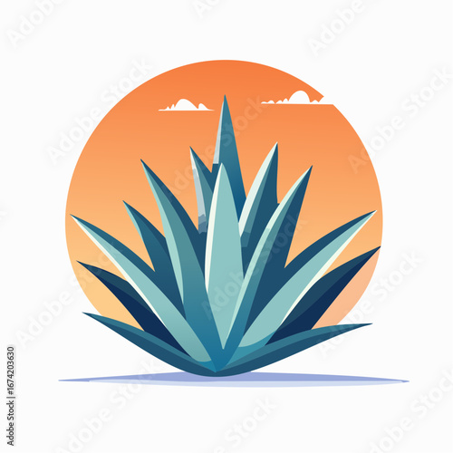 Vibrant Teal Agave Plant At Sunset