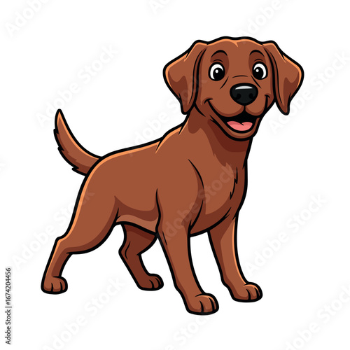dog, animal, dachshund, pet, puppy, brown, isolated, cute, canine, white, breed, mammal, portrait, vizsla, adorable, sitting, domestic, pedigree, pets, looking, purebred, studio, funny, doggy, small